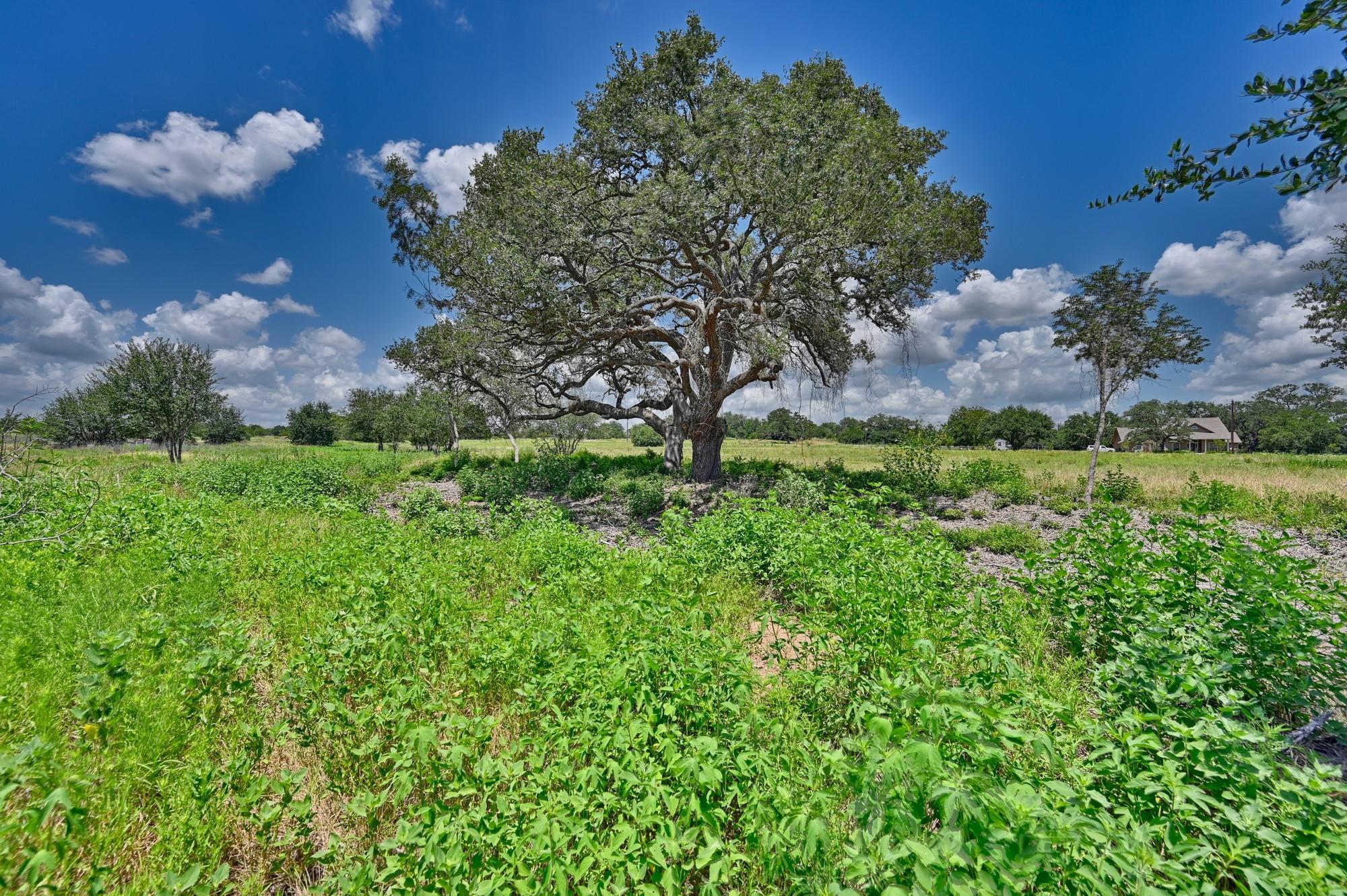 330 N Nassau Road
