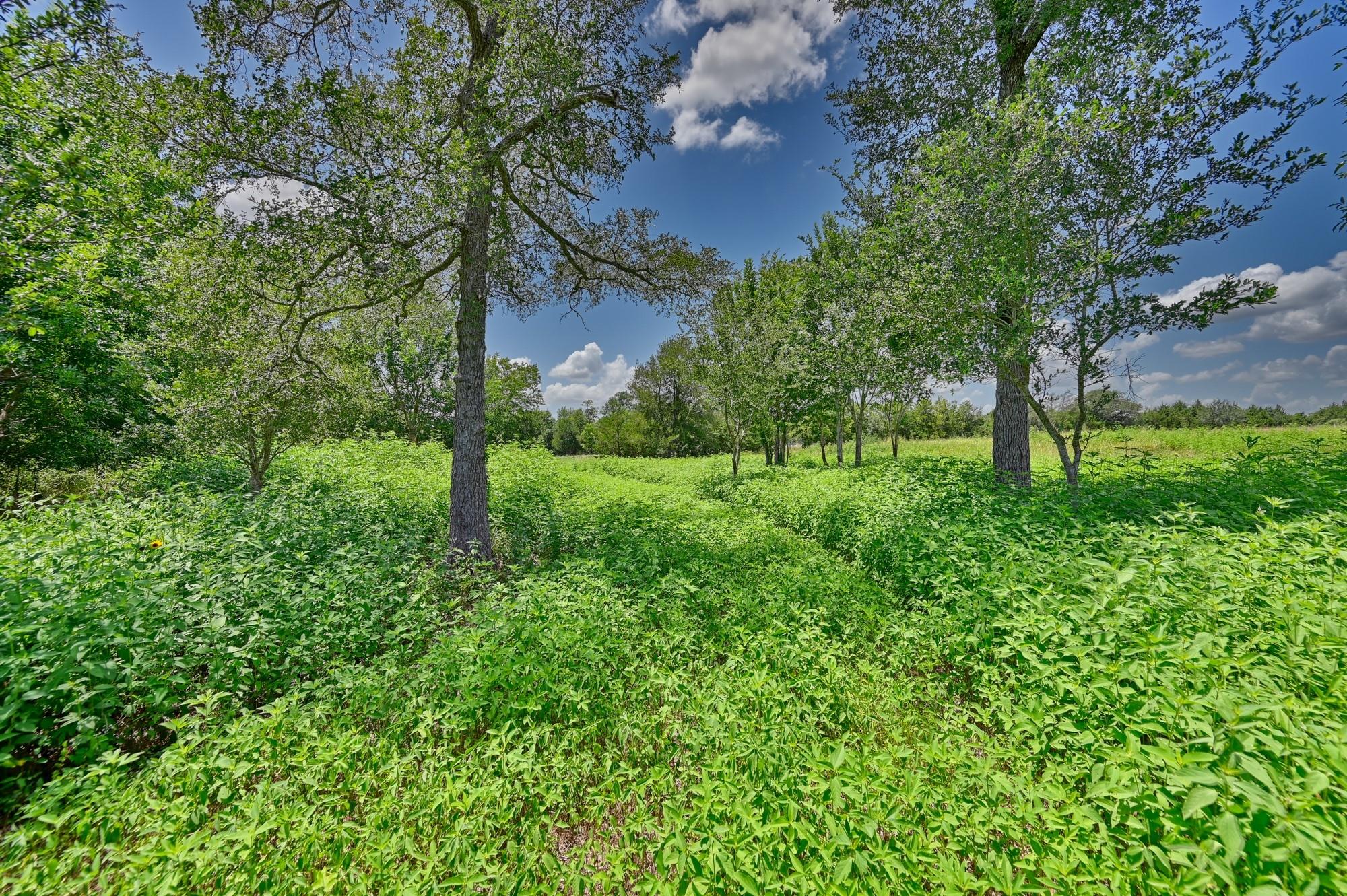 330 N Nassau Road