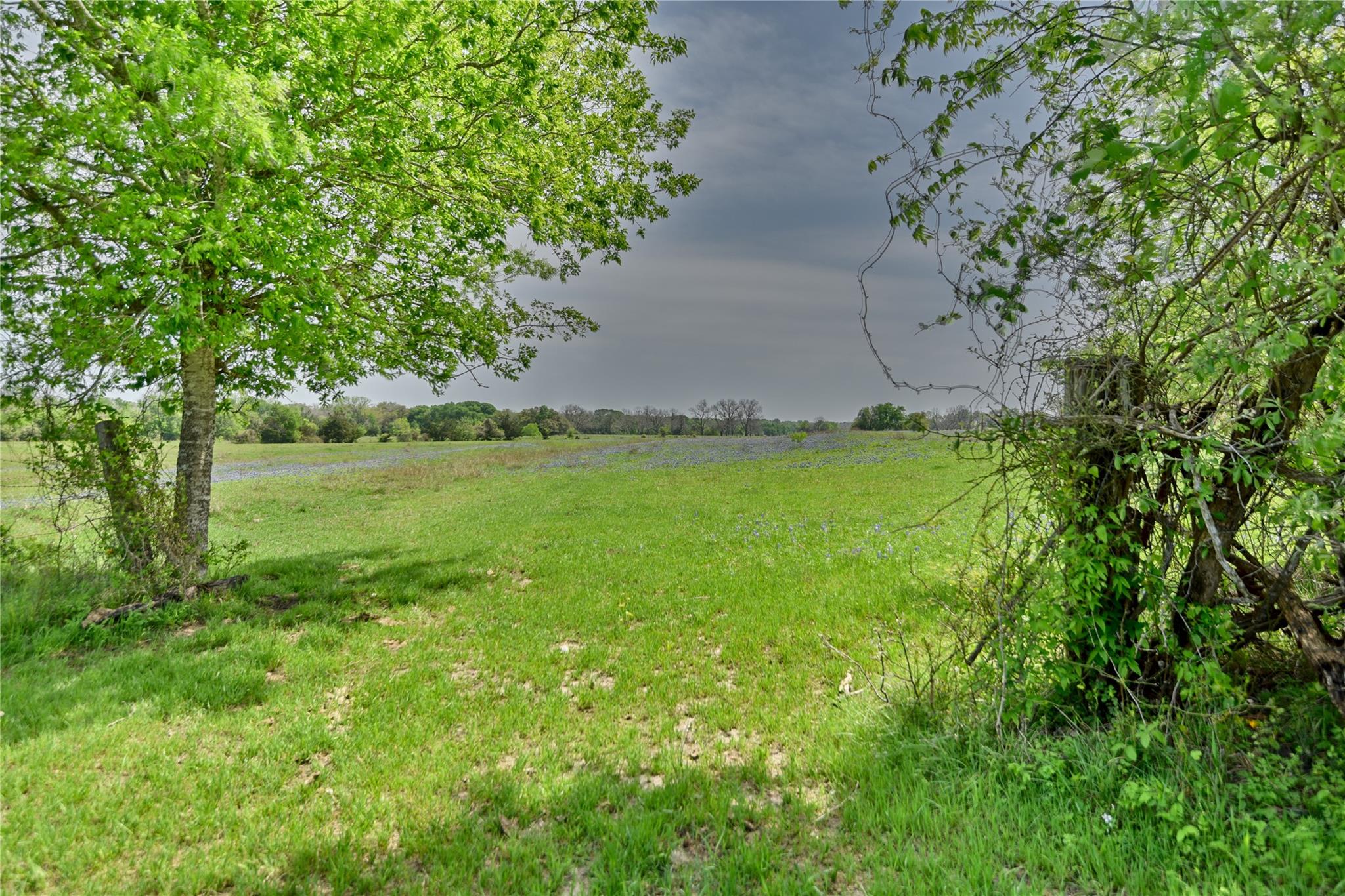 3521 Bryant Road