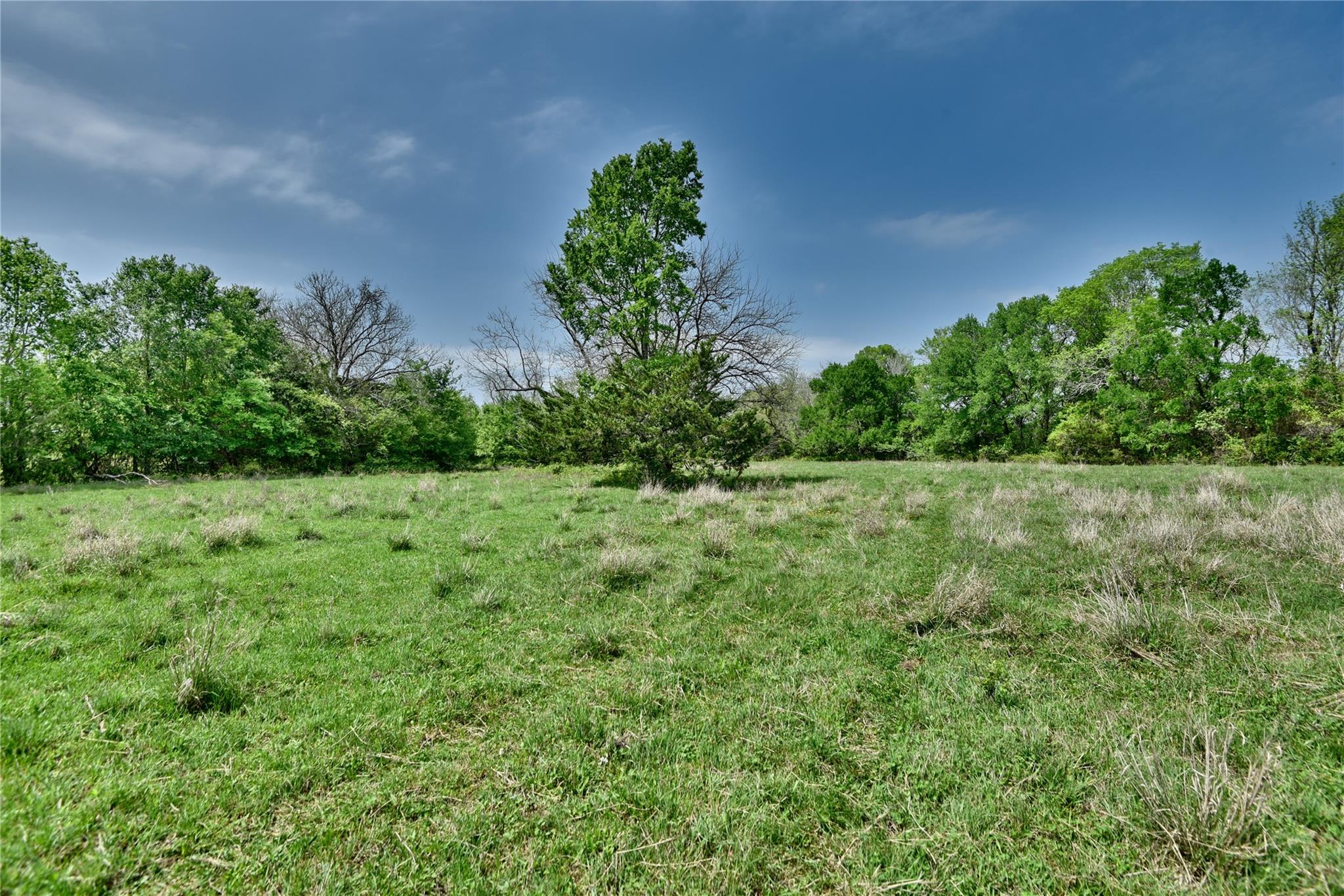 3521 Bryant Road