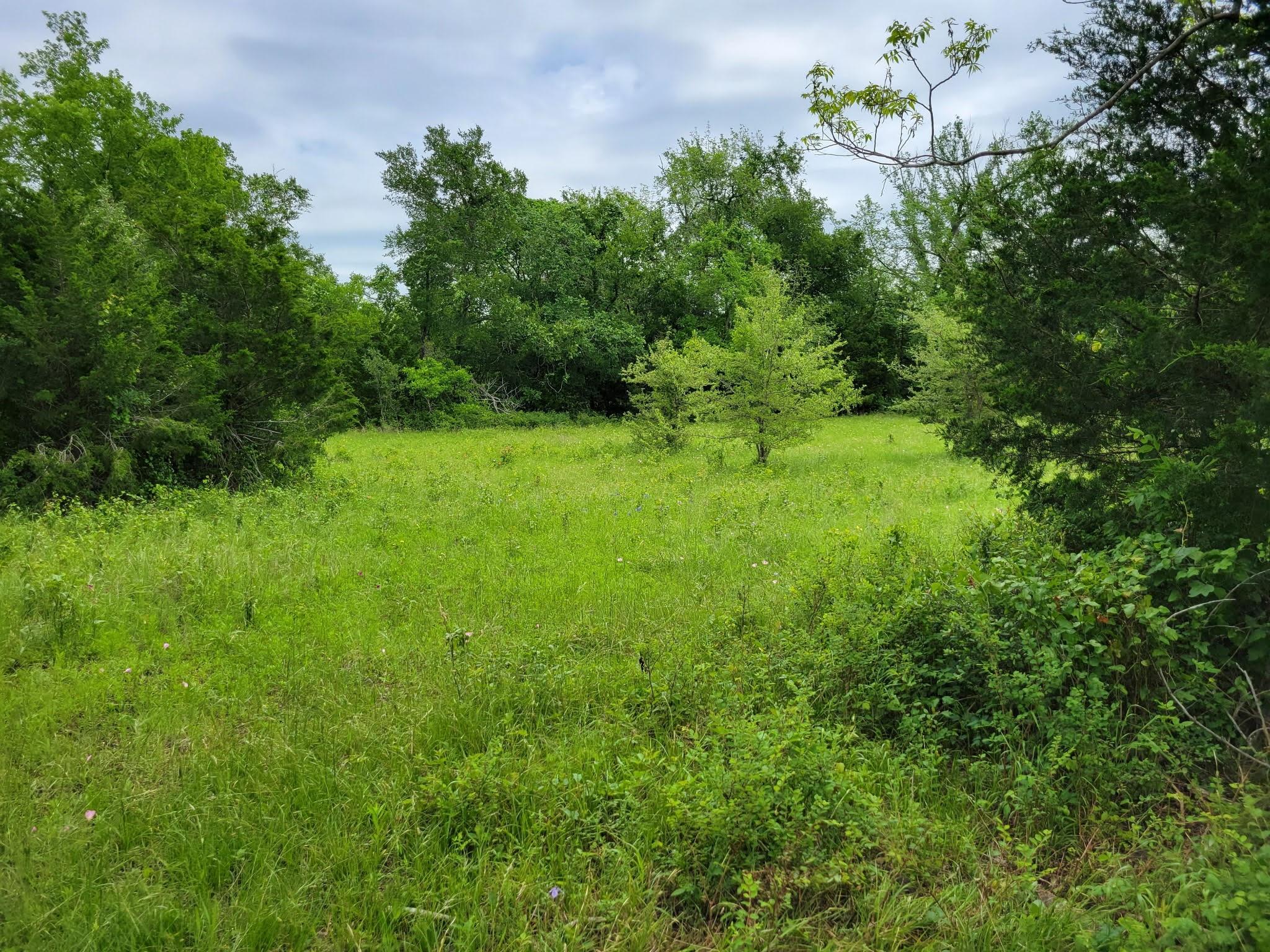 3521 Bryant Road