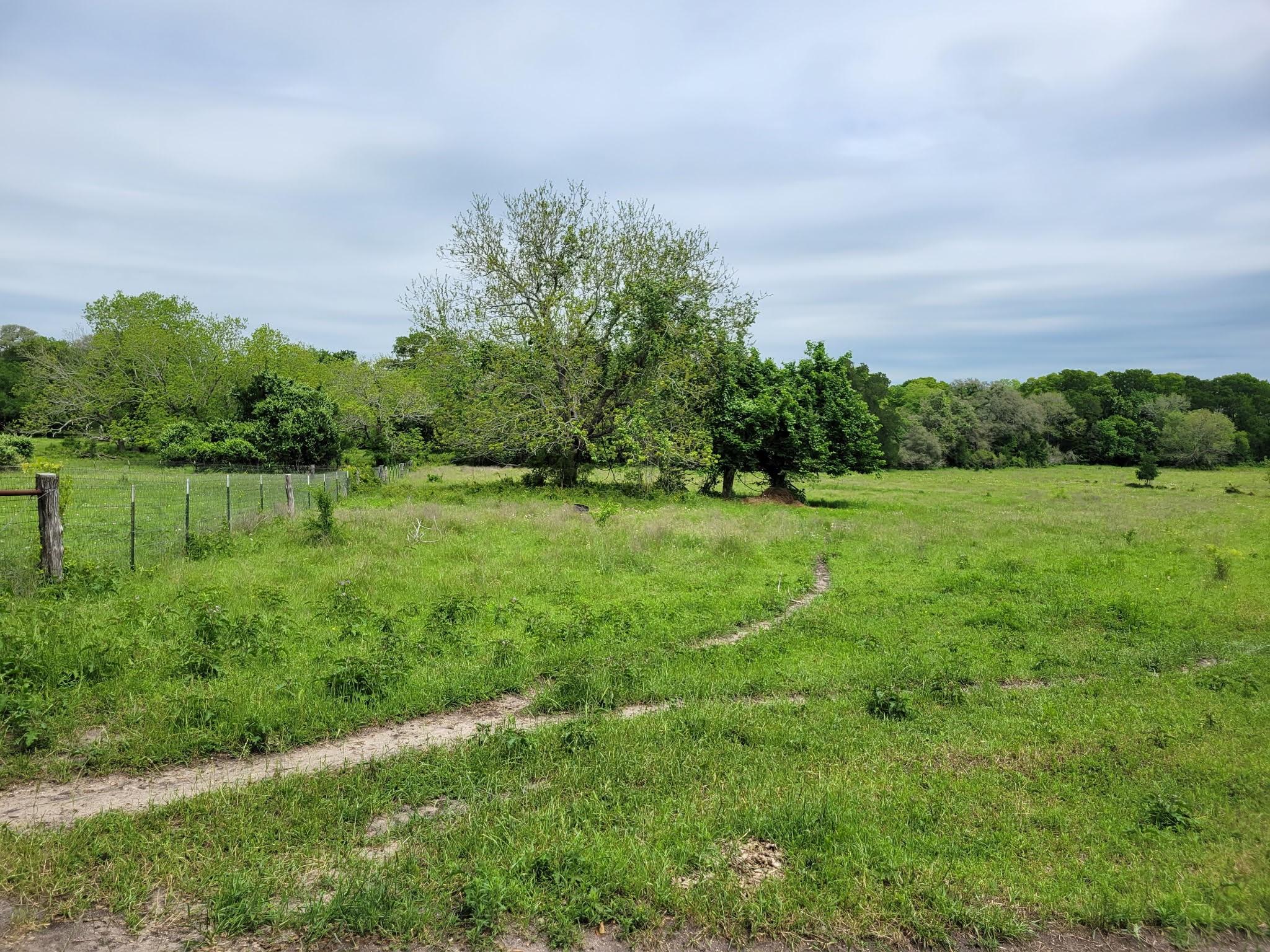 3521 Bryant Road