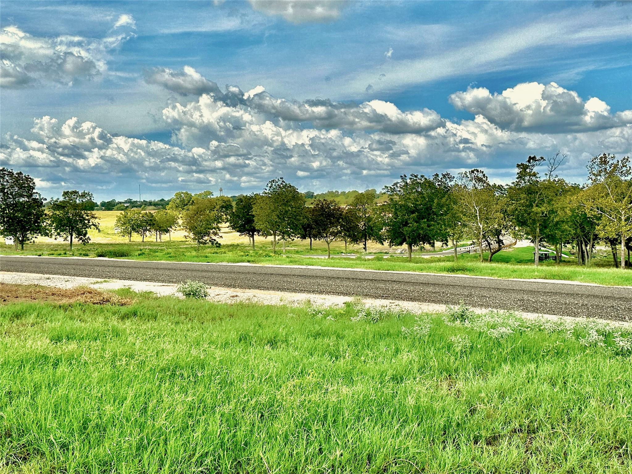 TBD Sunshine Court, Chappell Hill