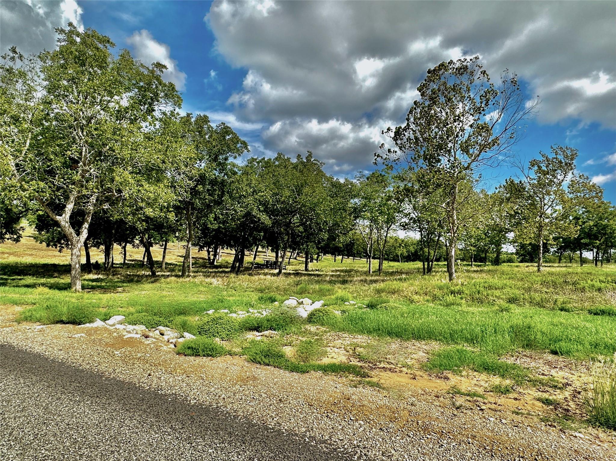 TBD Sunshine Court, Chappell Hill