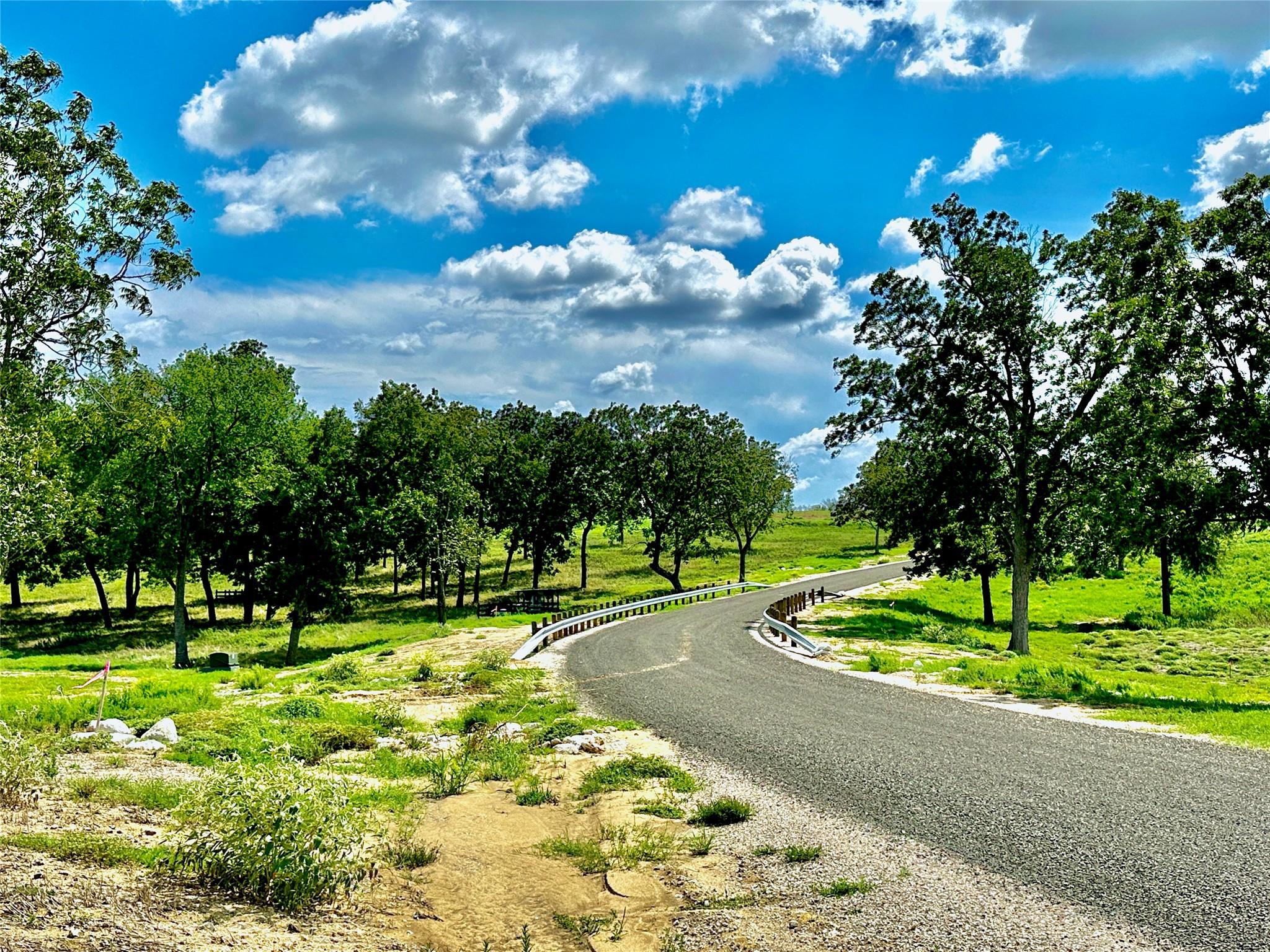 TBD Sunshine Court, Chappell Hill