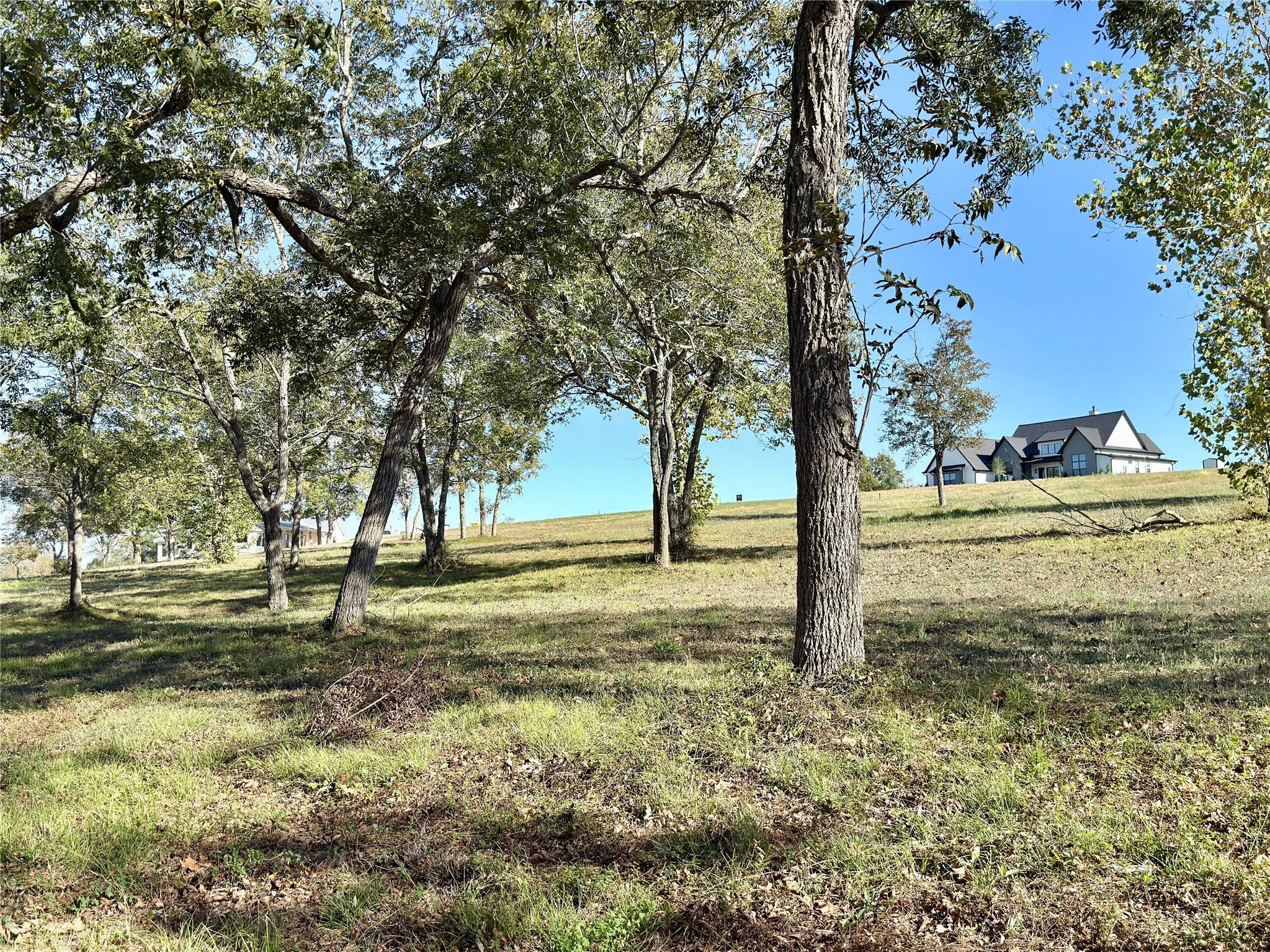 TBD Sunshine Court, Chappell Hill