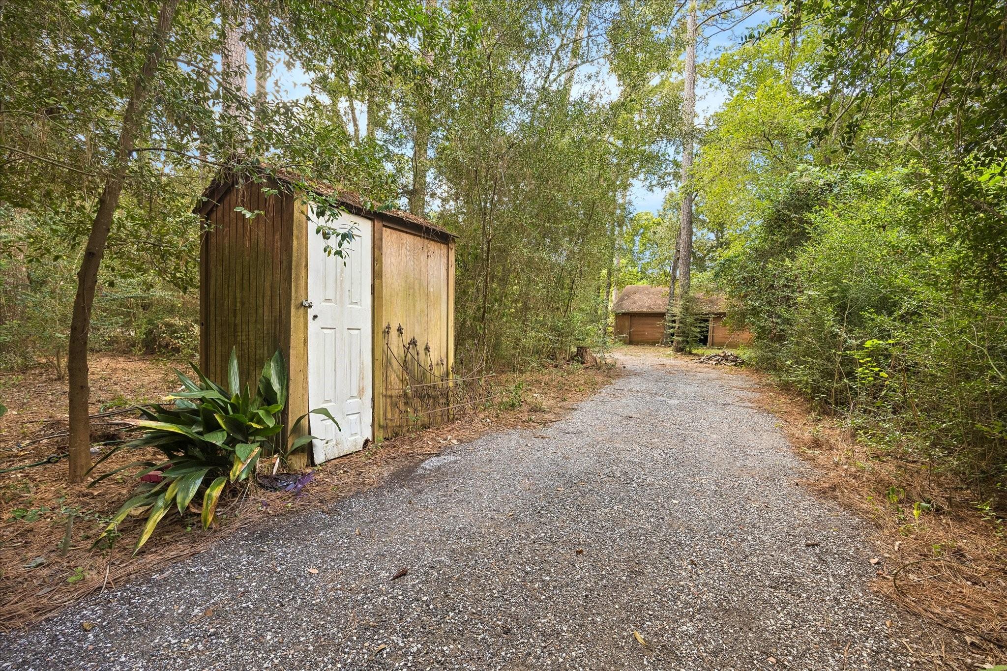 Wooded driveway between a small shed with a white door and a detached two-bay garage.