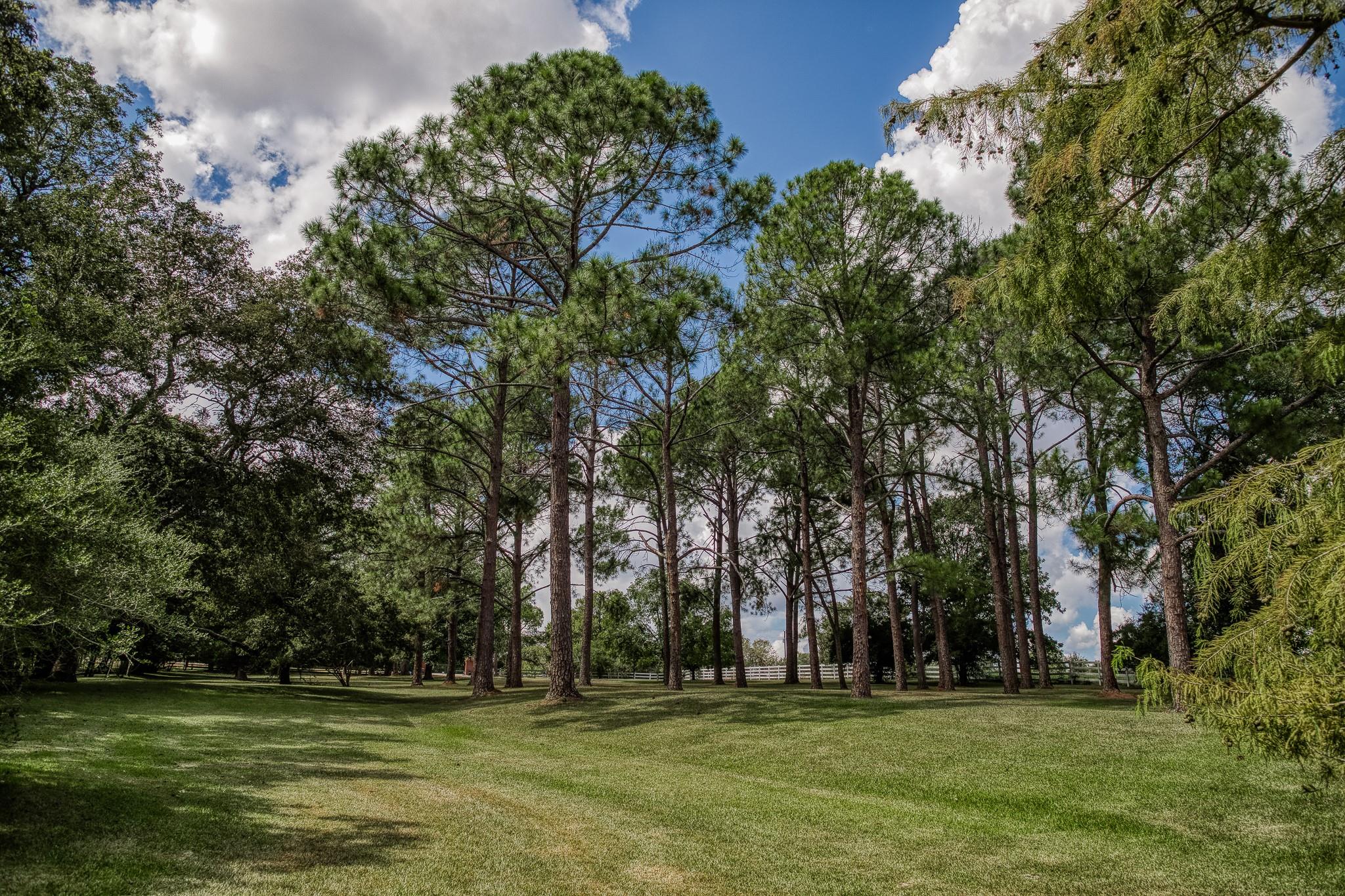 10507 Old Chappell Hill Road