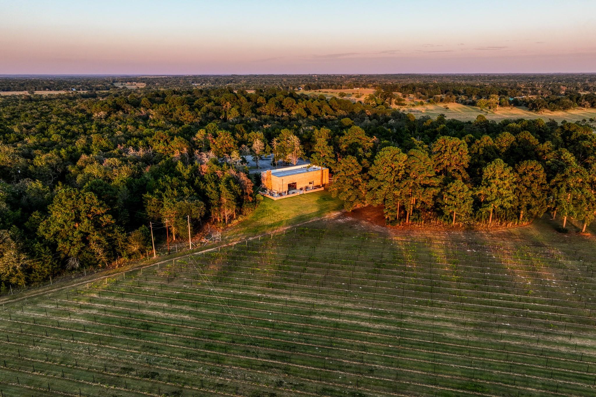 25200 Bernard Road