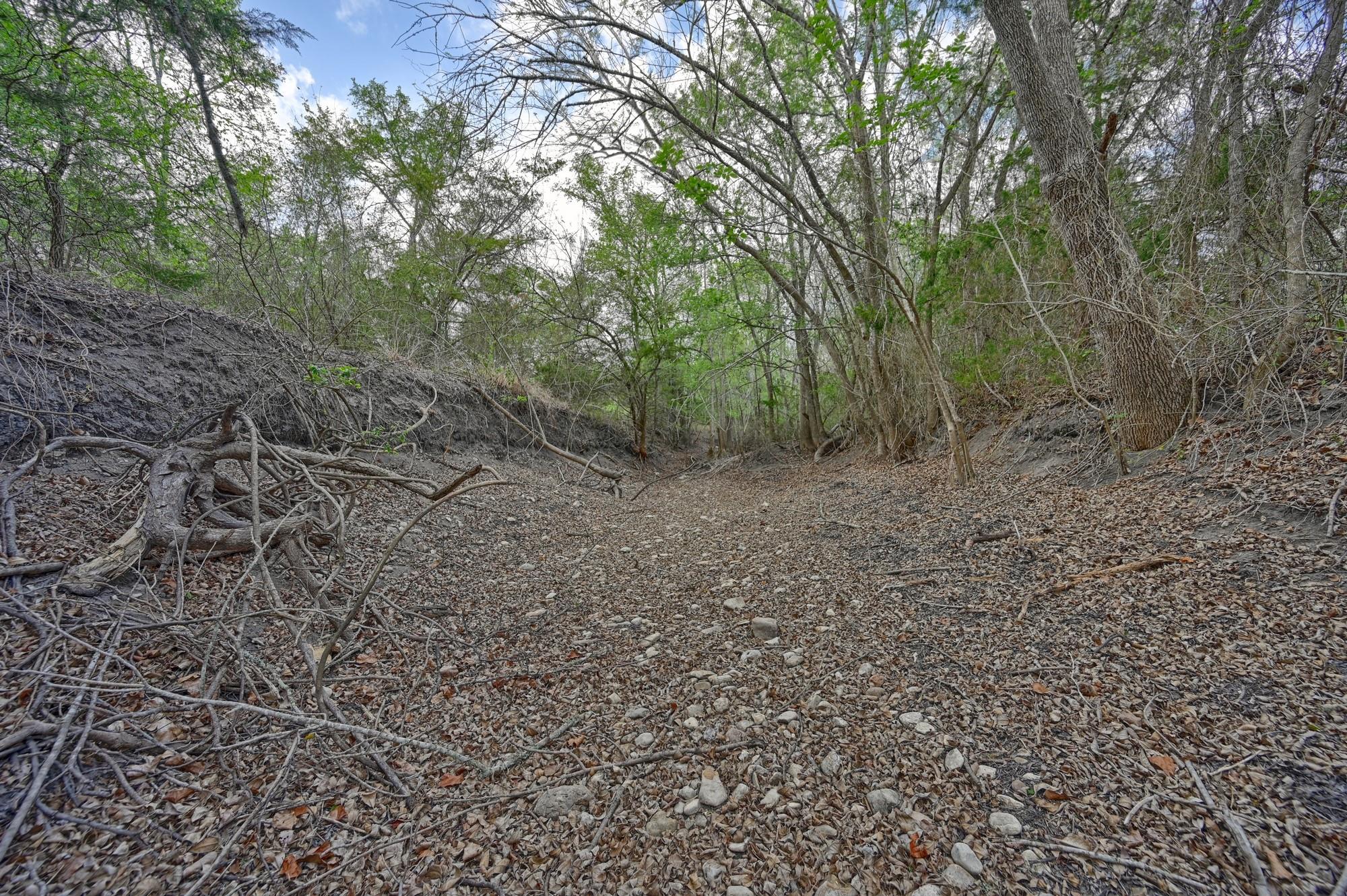 3219 Fritsch Road