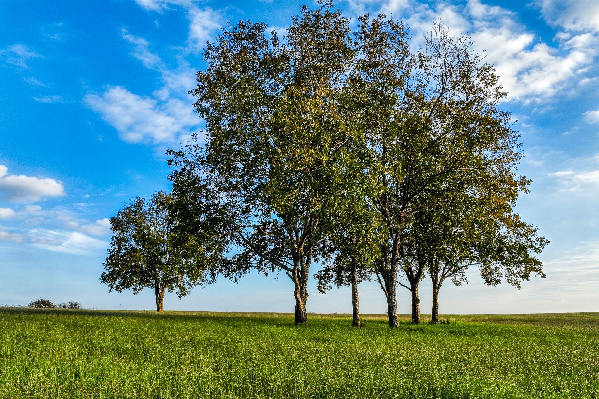 TBD Sunny Hills Lot 18 Drive