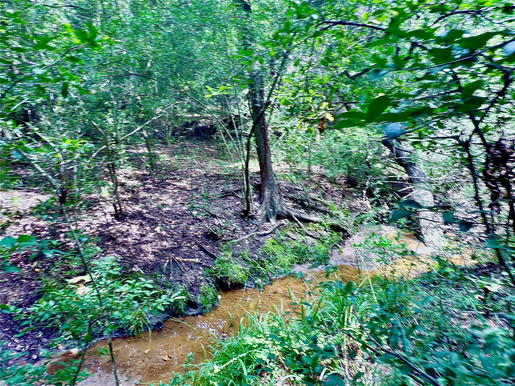 TBD Flewellen Road