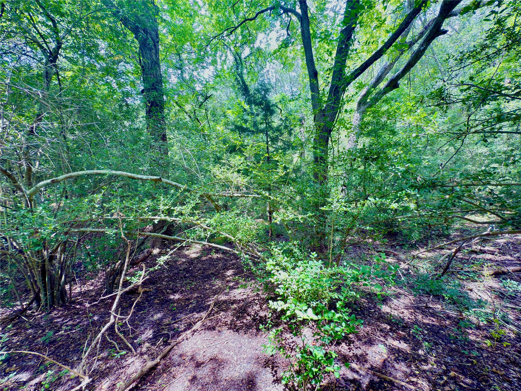 TBD Flewellen Road