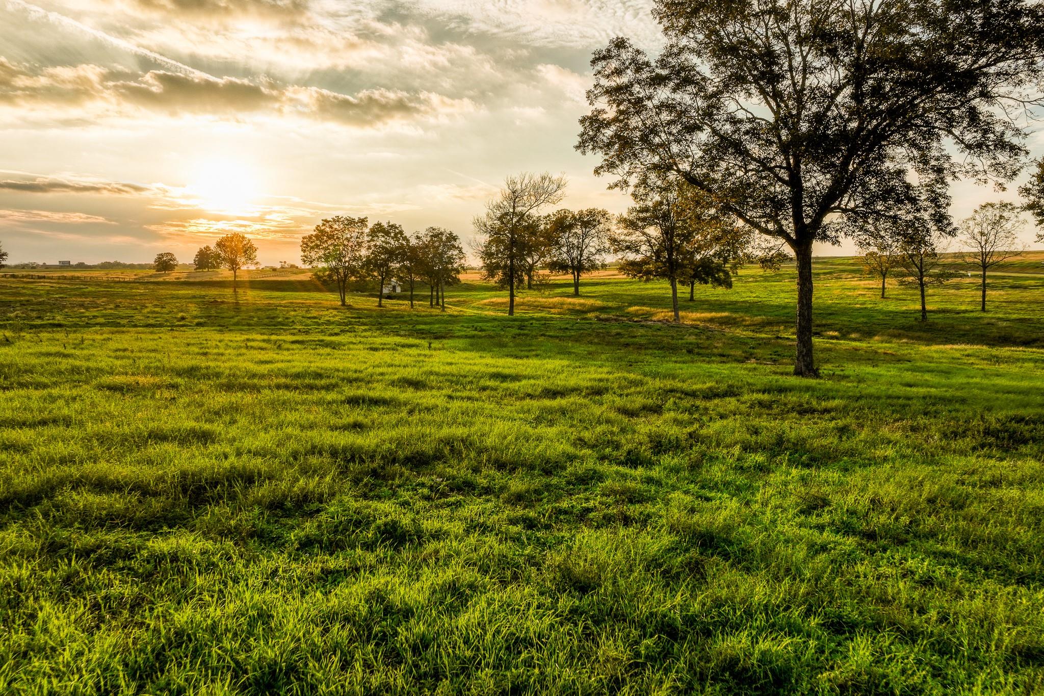 TBD Sunny Hills Lot 25 Drive