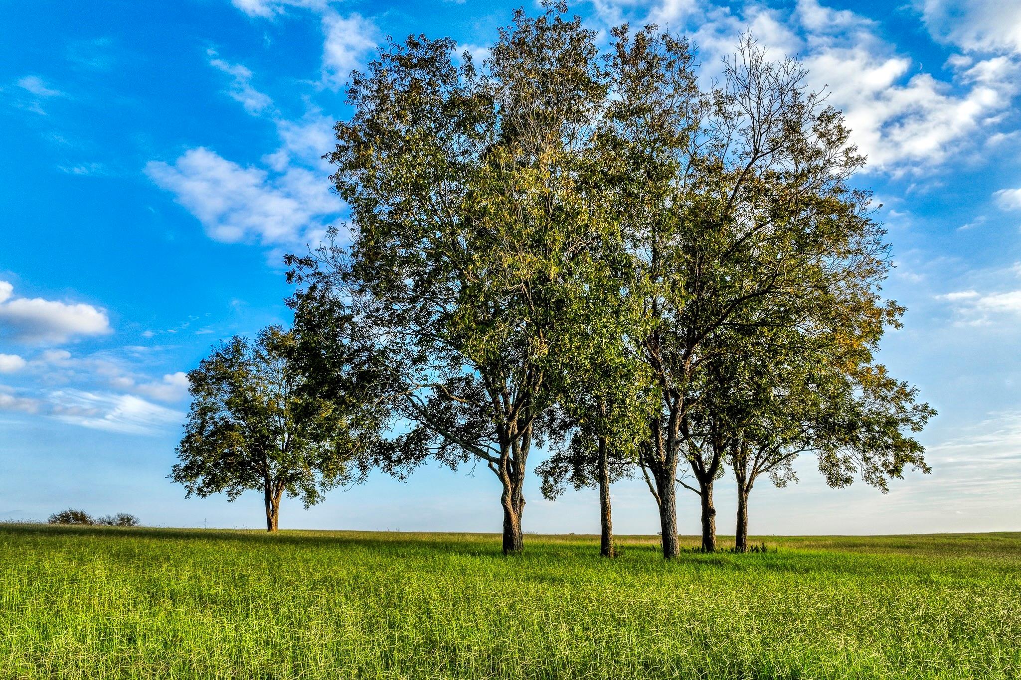 TBD Sunny Hills Lot 1 Drive