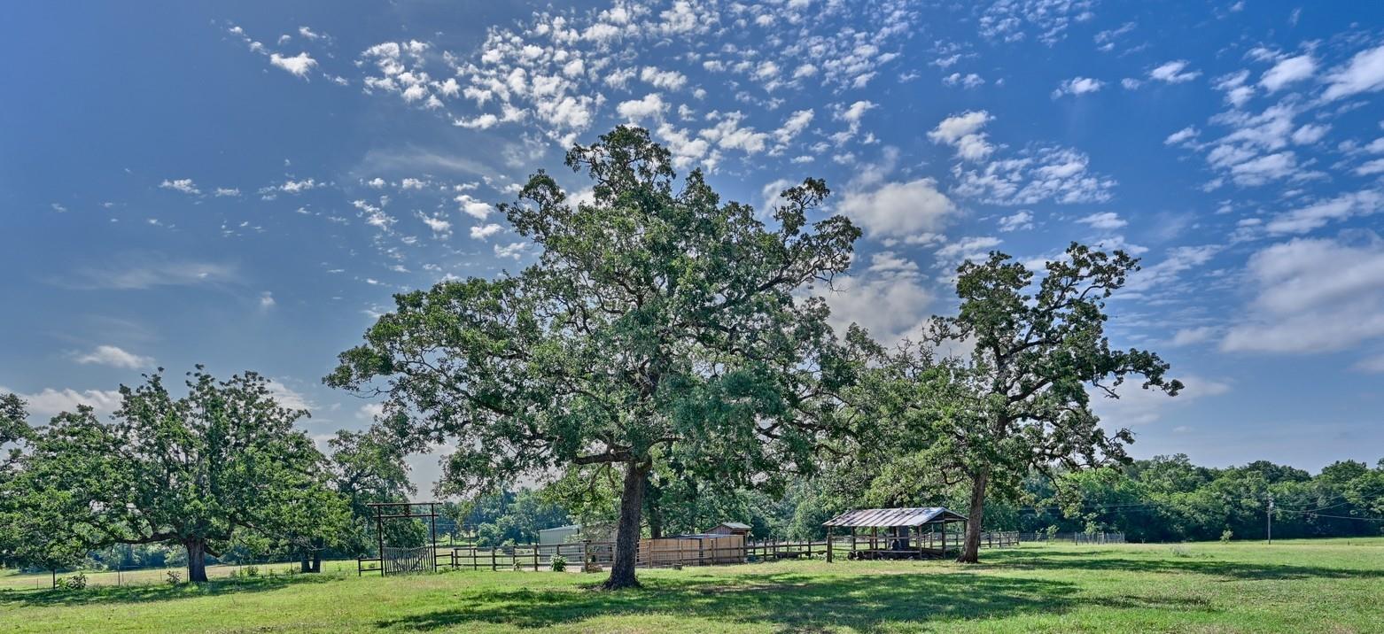 1045 Private Road 7005