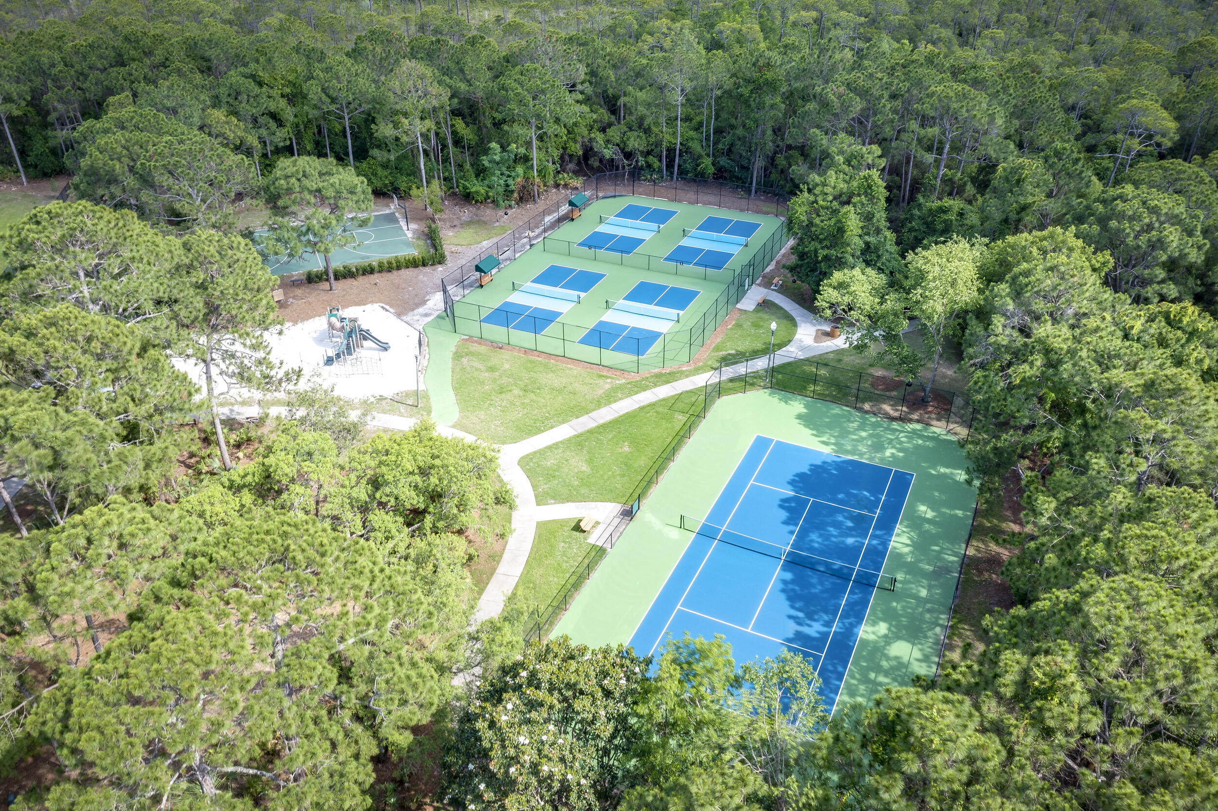 256 Leaning Pines Loop