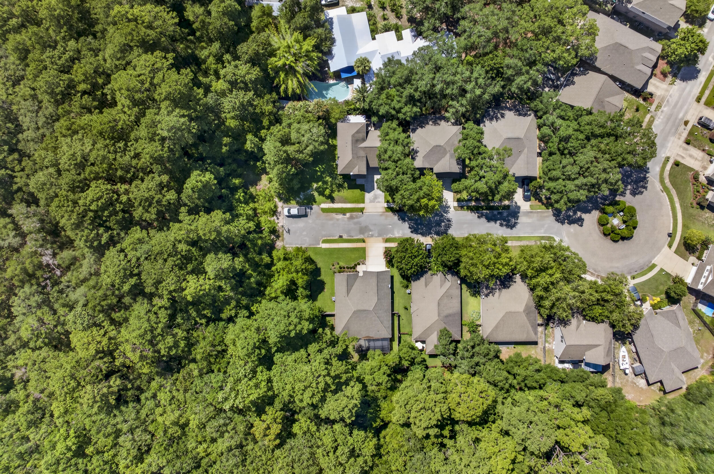 123 Big Oak Lane