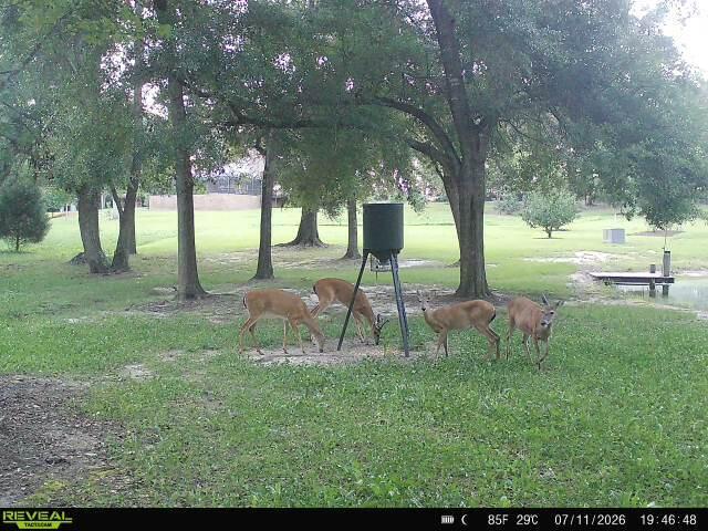 5968 W Co Hwy 147