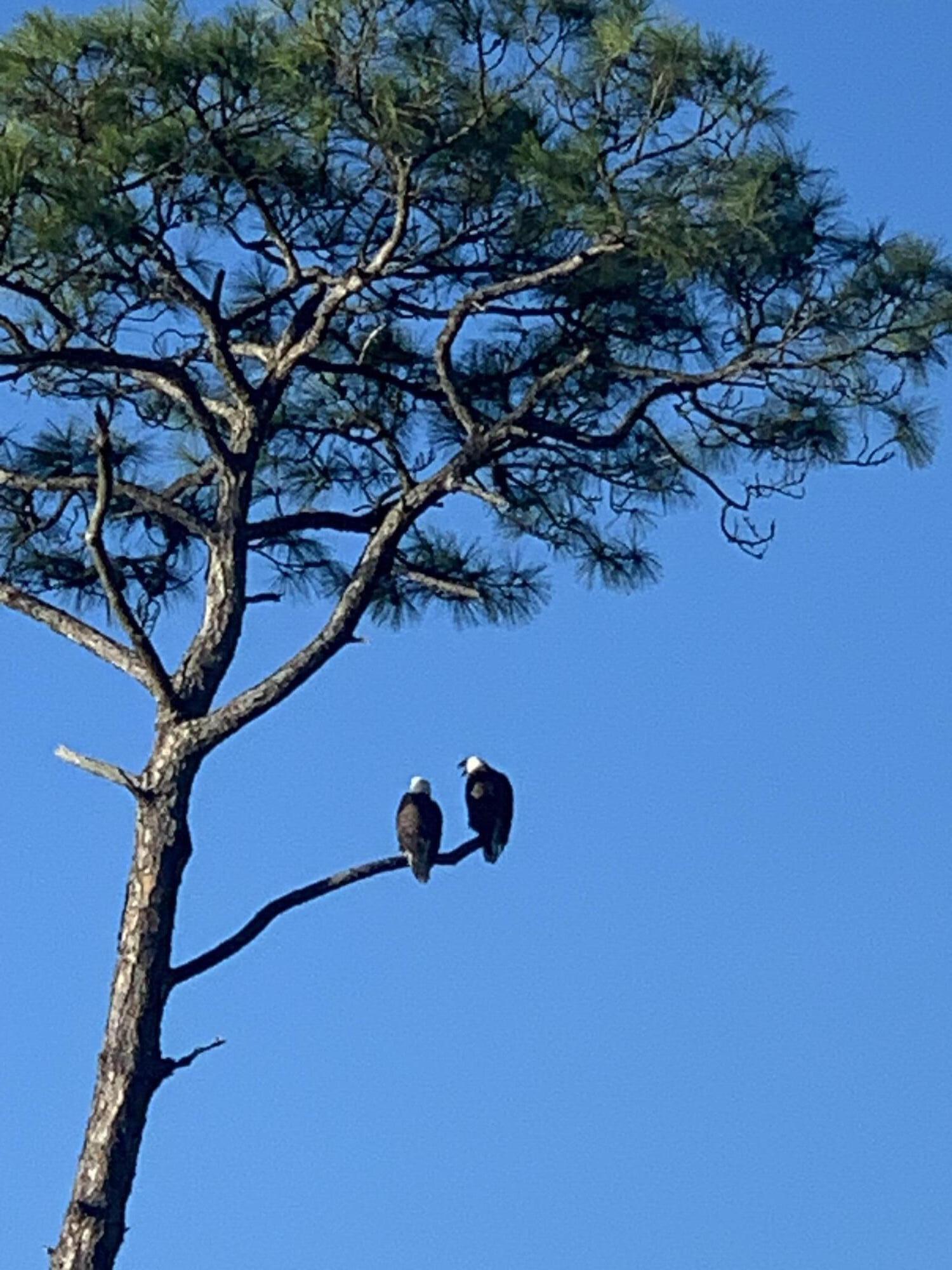 Lot 36 Parish Boulevard