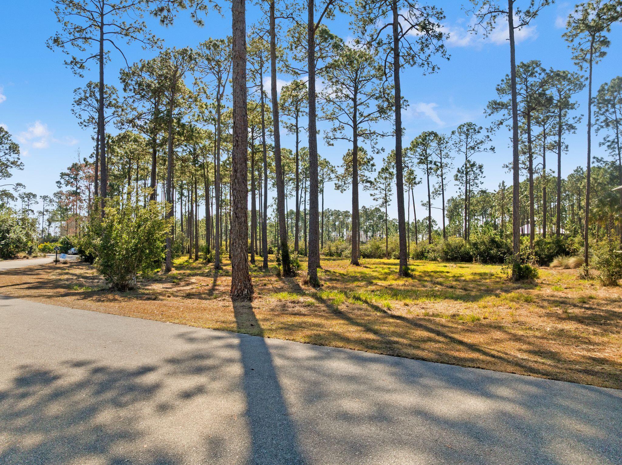 6311 River House Drive