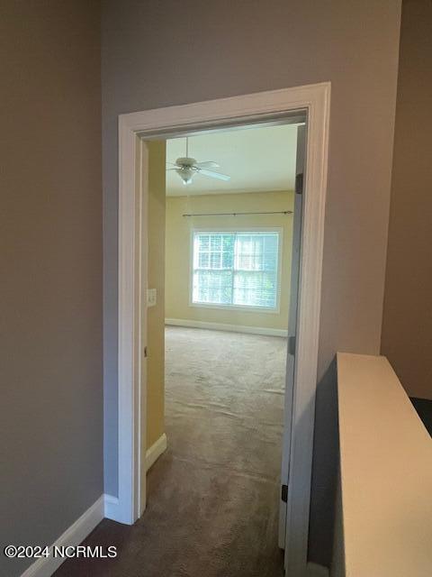 5008 Exton Park Loop