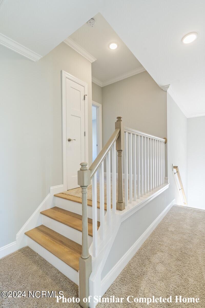 217 Tilloo Cut Way