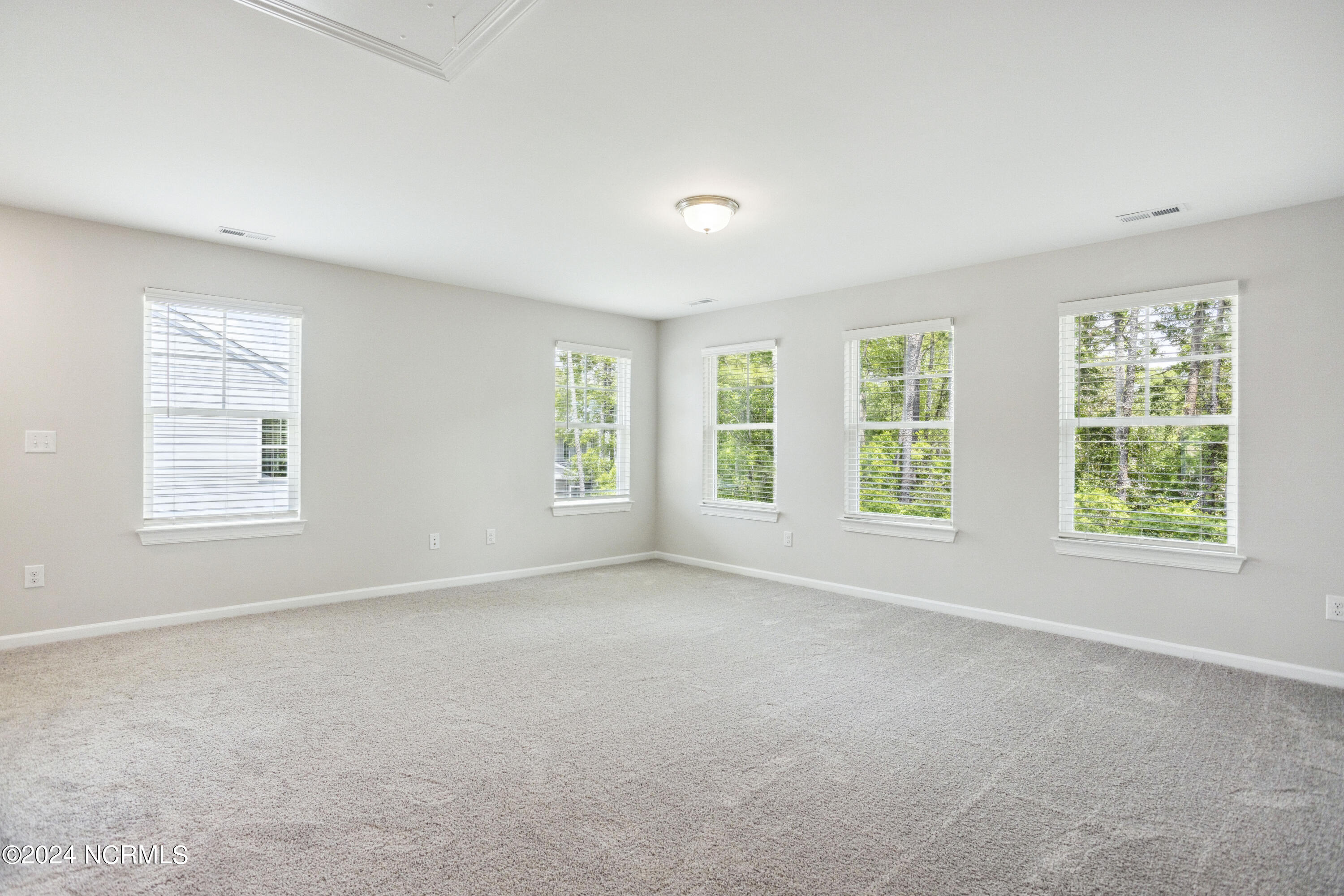 308 Lusterleaf Lane, # 1