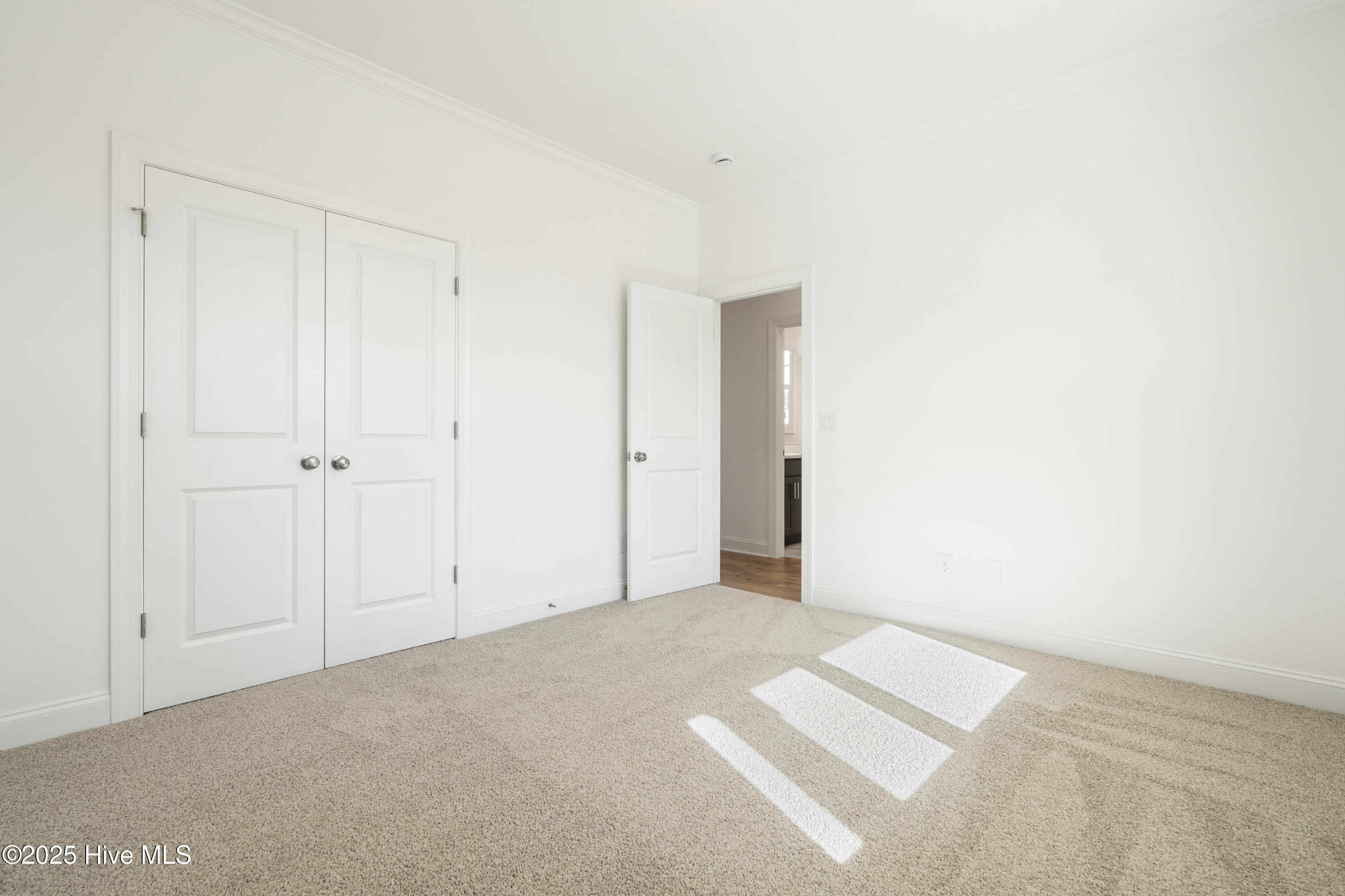 1166 Turnata Drive SE