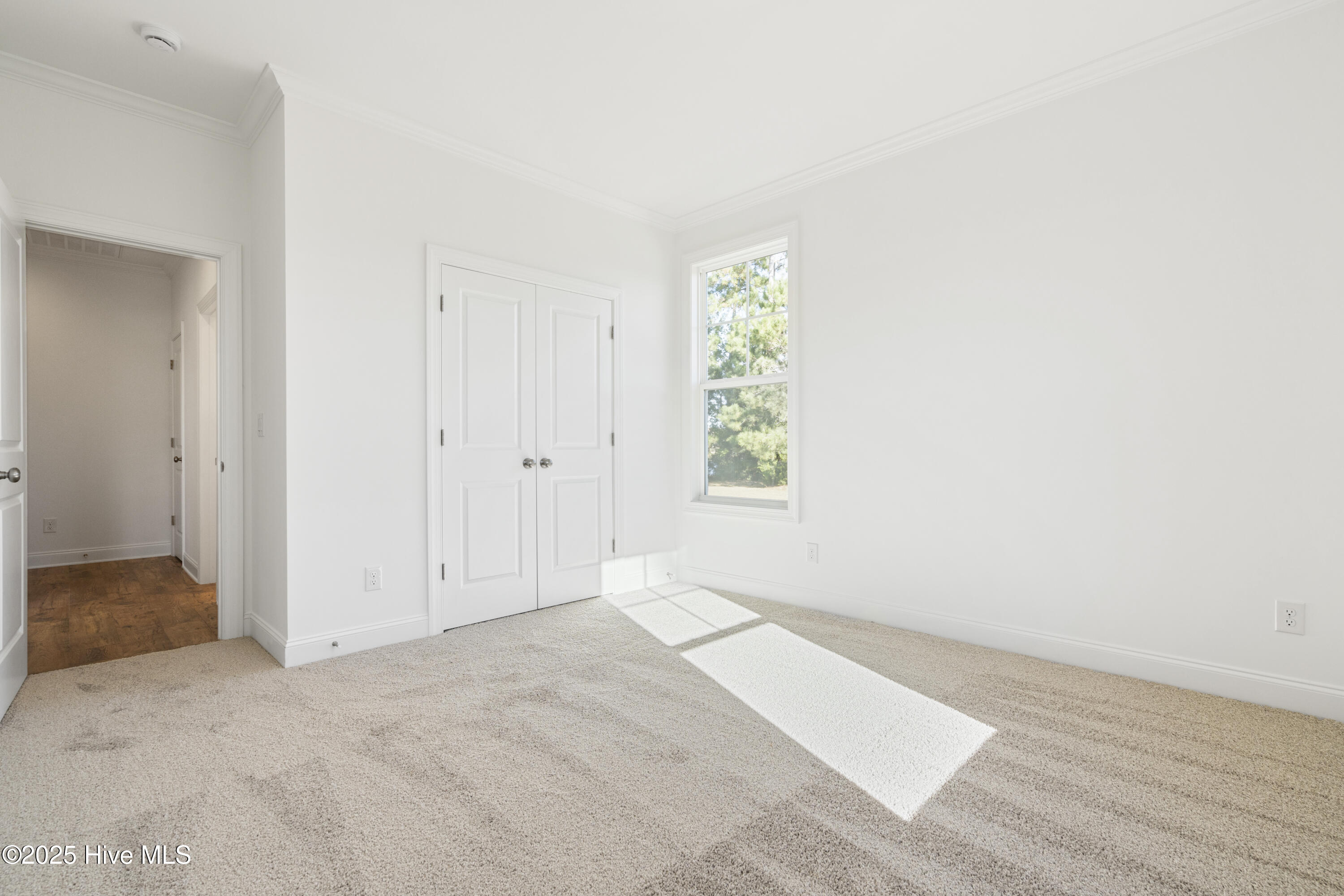 1166 Turnata Drive SE