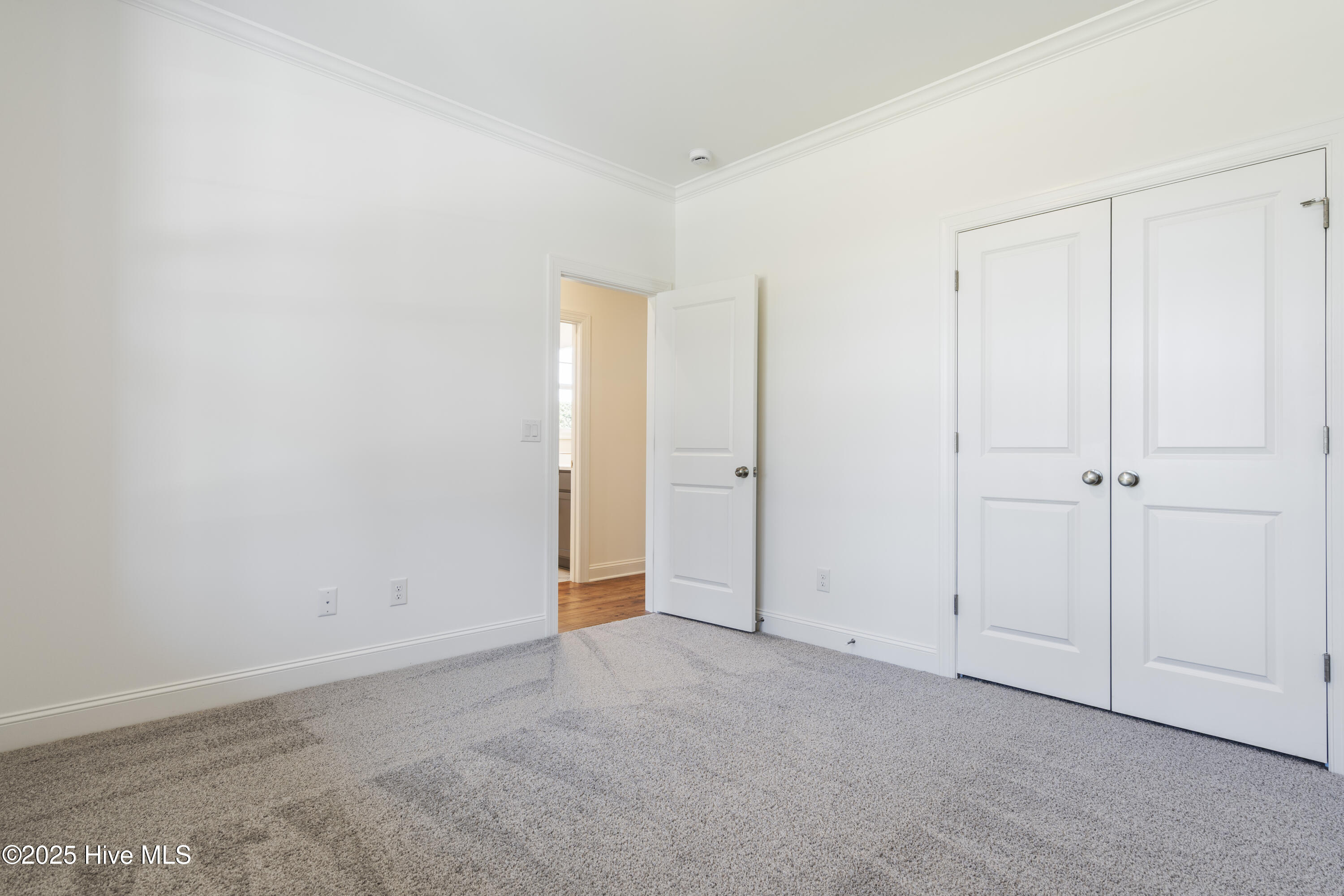 1273 St Simons Drive SE