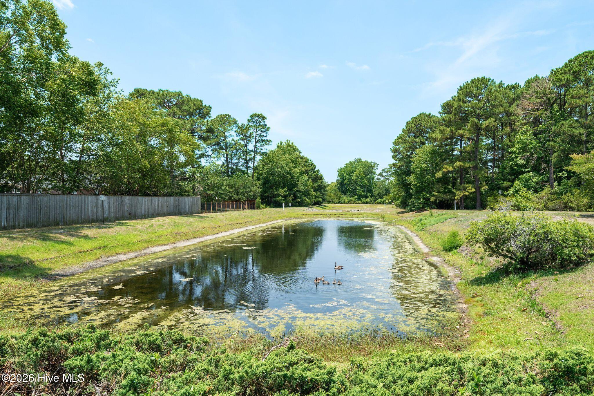 4900 Trailing Vine Lane