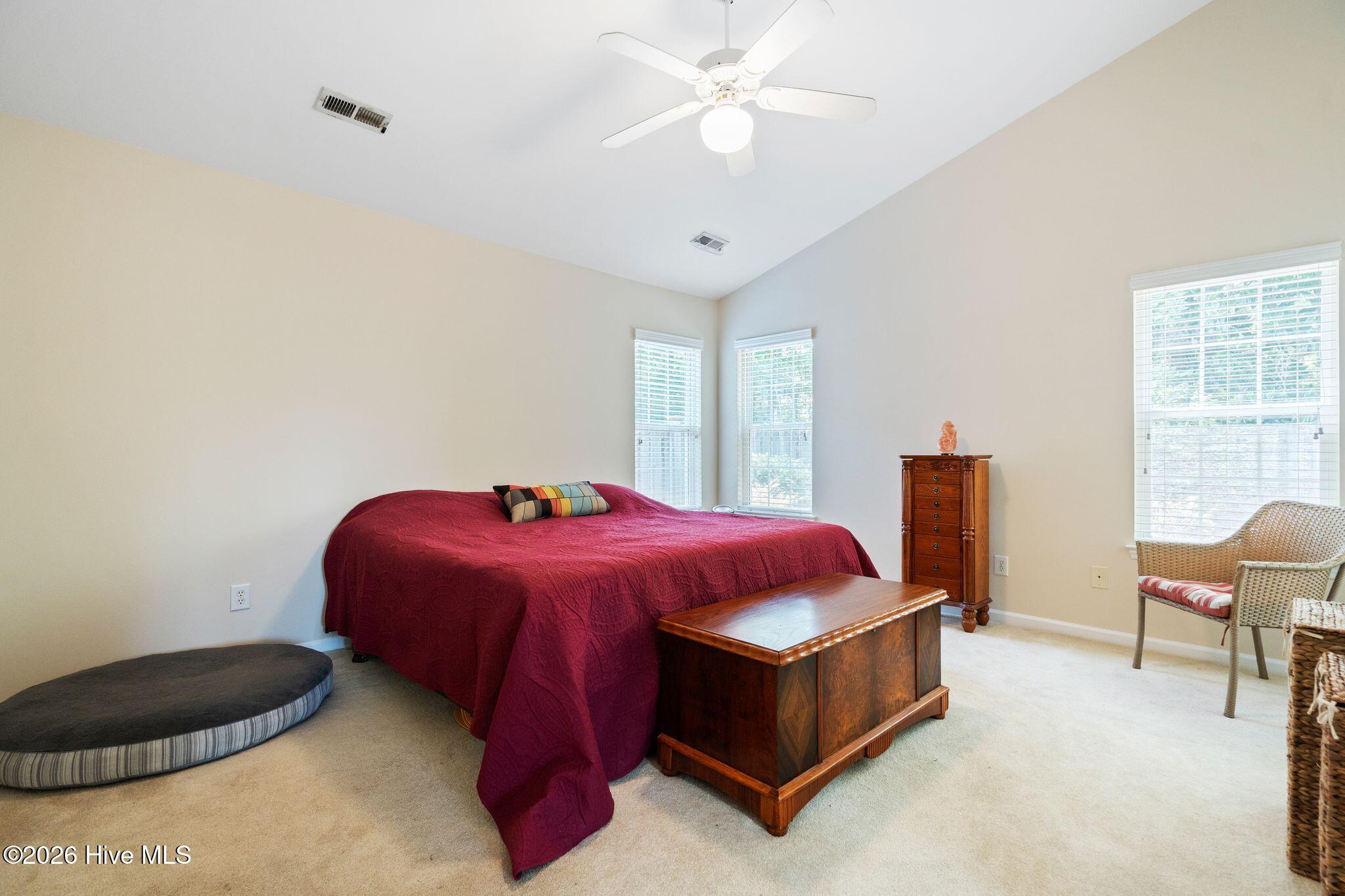 4900 Trailing Vine Lane