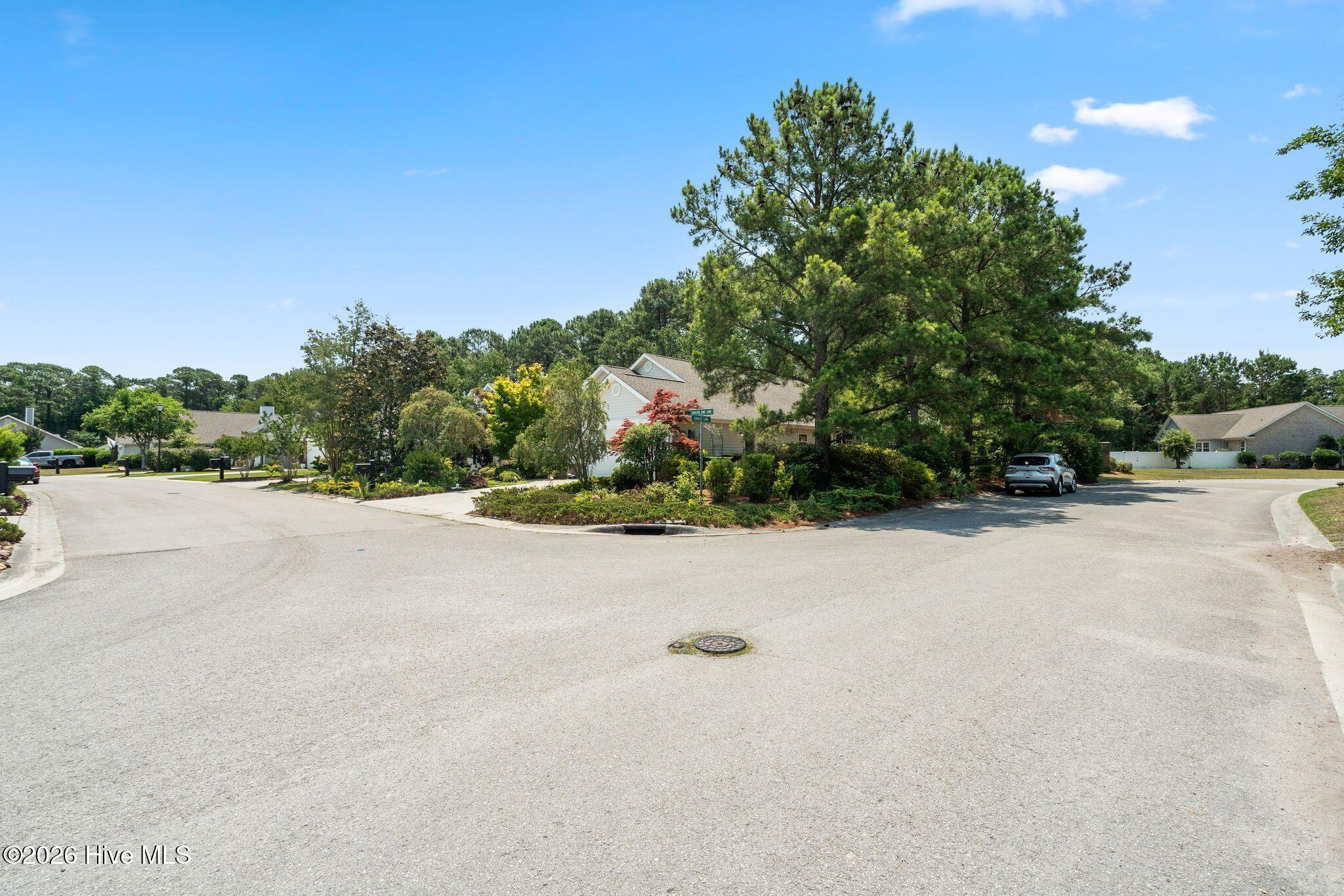 4900 Trailing Vine Lane