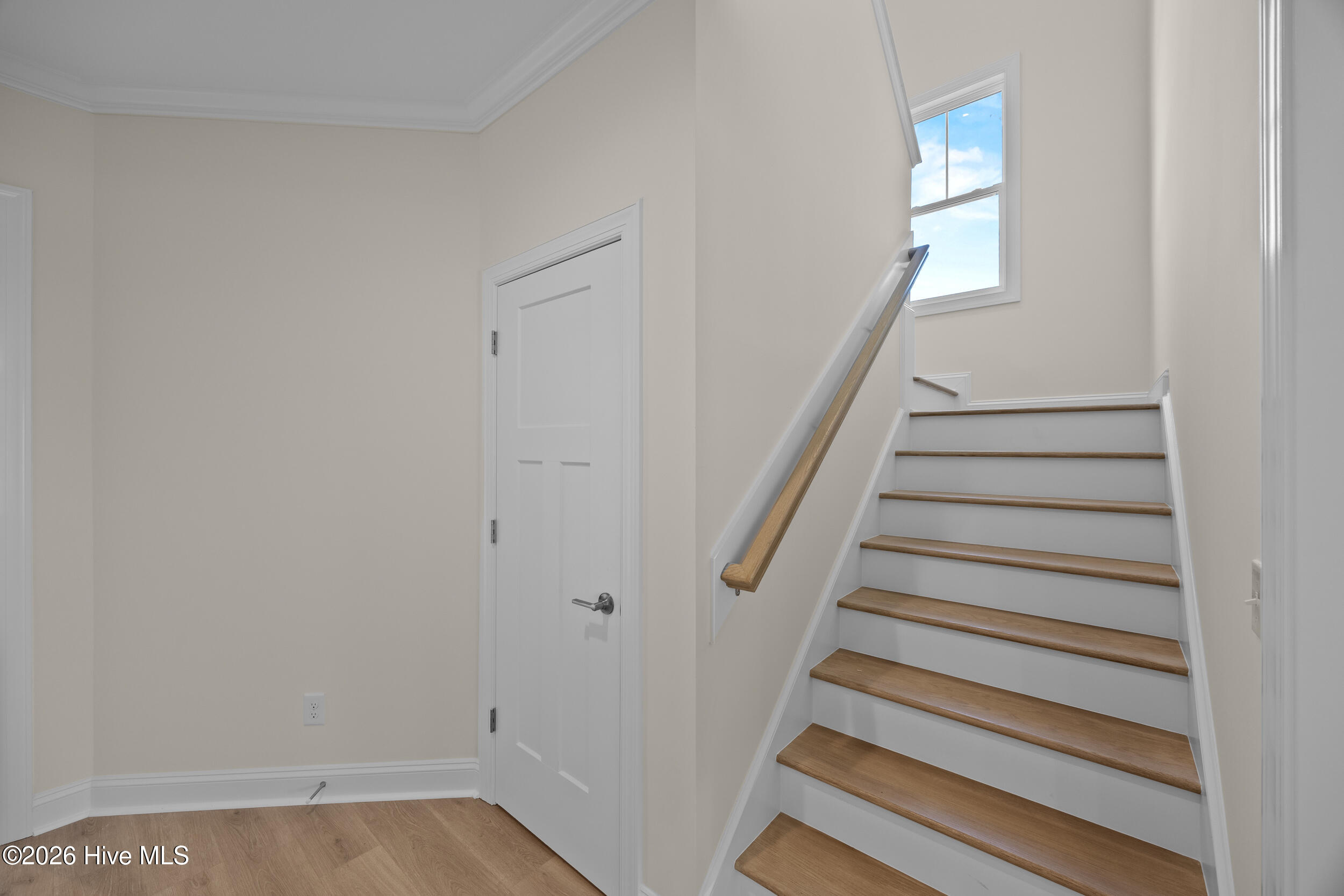 96 Halcyon Drive