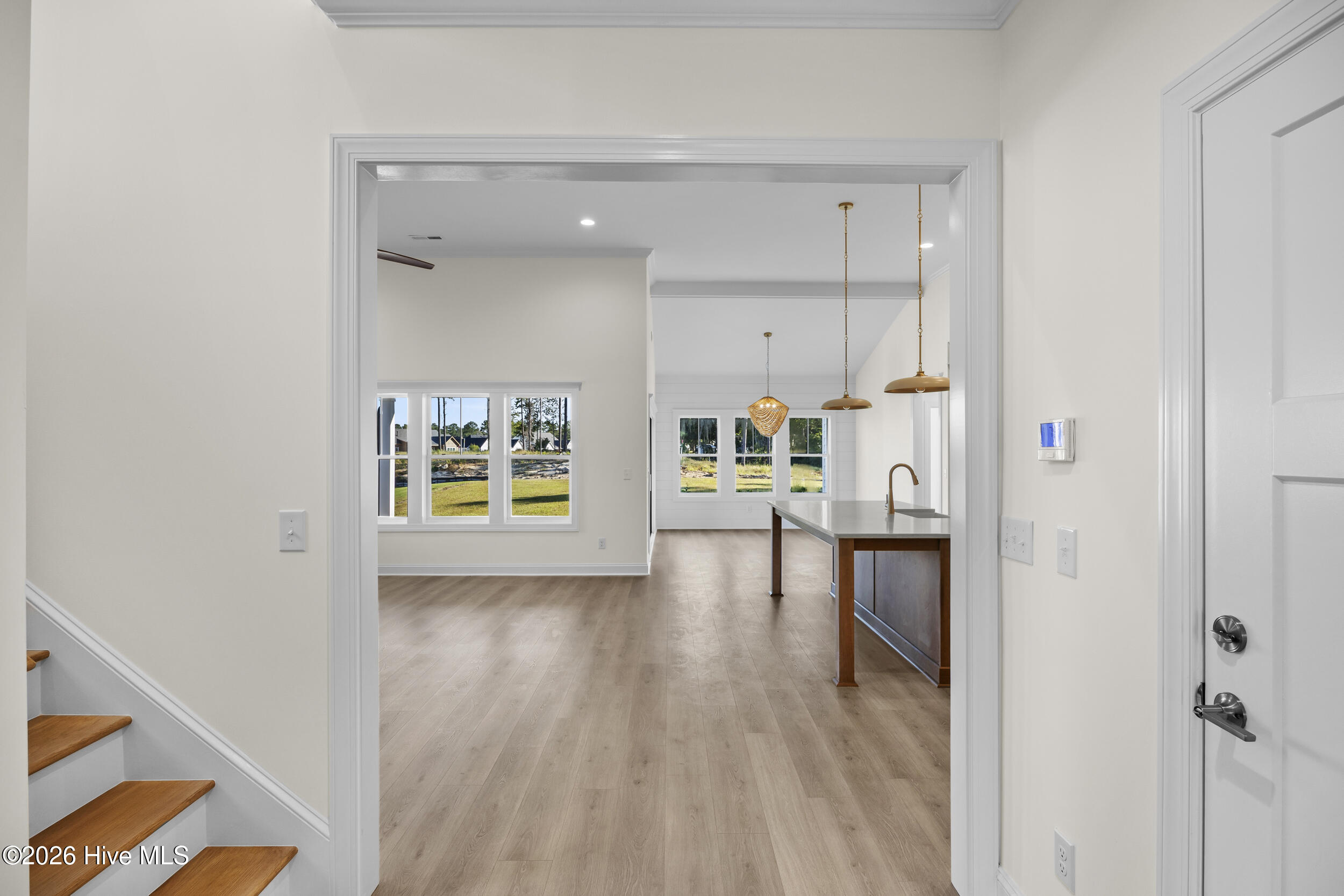 96 Halcyon Drive