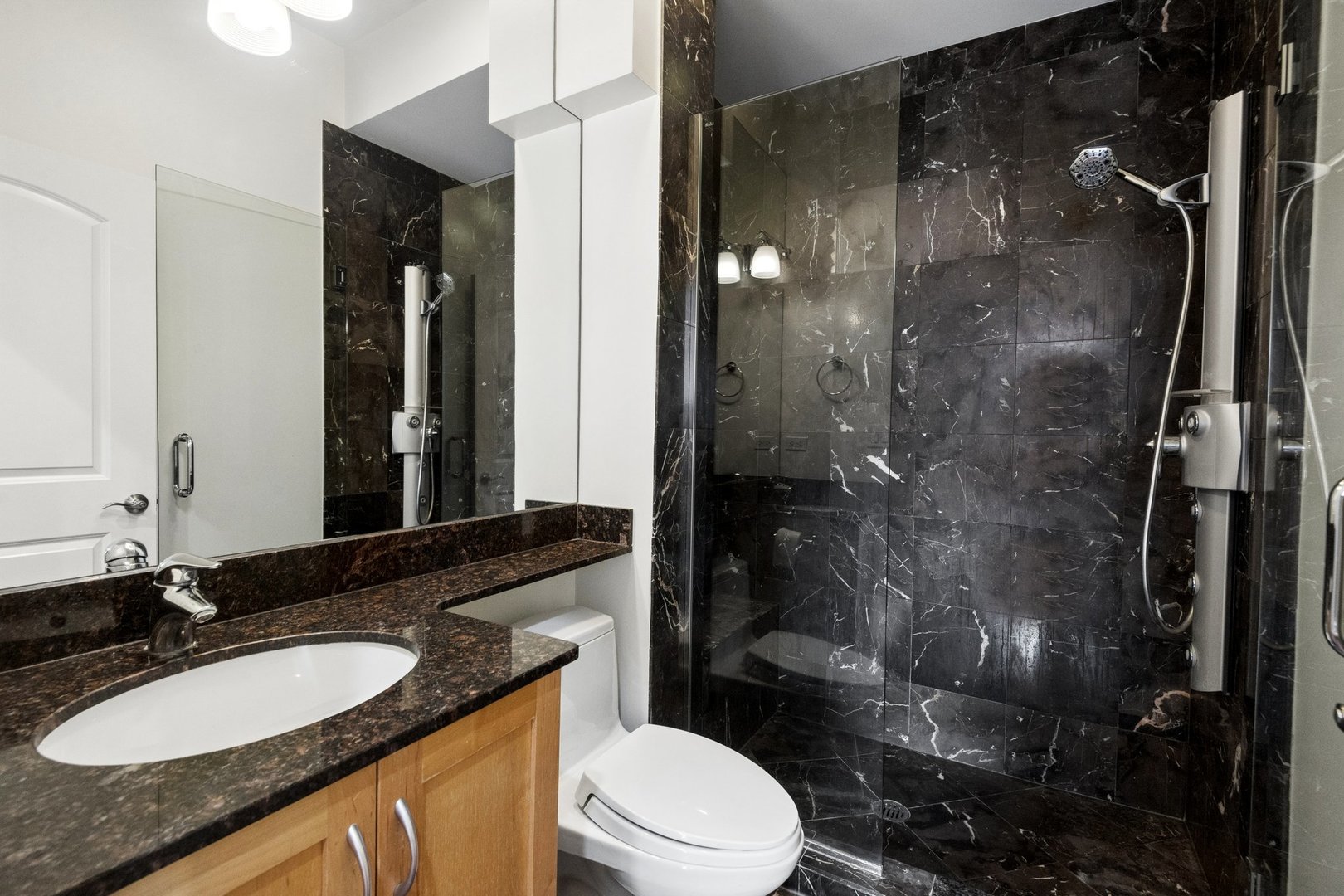 1151 N Damen Avenue Unit: 3C