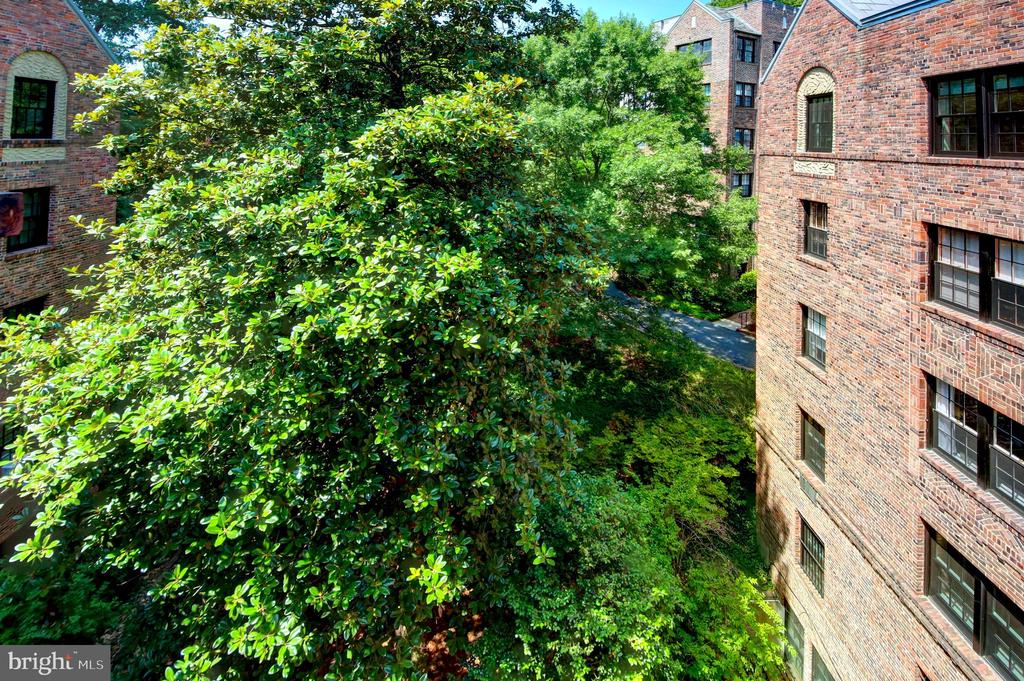 3000 TILDEN STREET NW Unit: 503-I