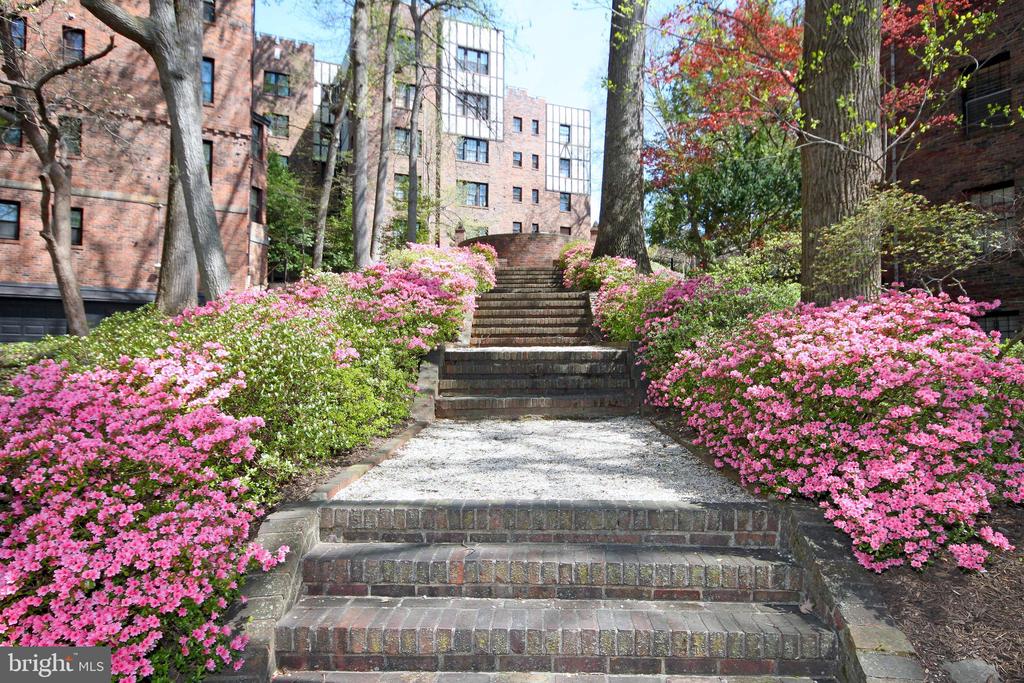 3000 TILDEN STREET NW Unit: 503-I