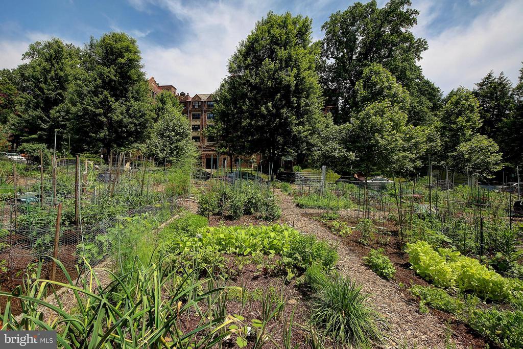 3000 TILDEN STREET NW Unit: 503-I