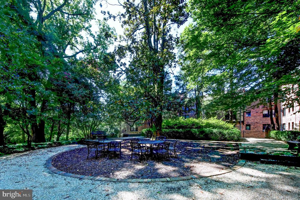 3016 TILDEN STREET NW Unit: 103