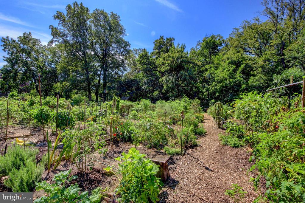 3031 SEDGWICK STREET NW Unit: 102-E