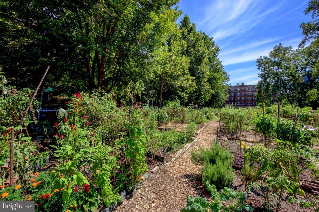 3031 SEDGWICK STREET NW Unit: 102-E