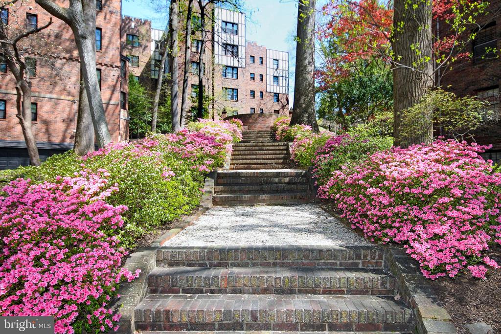 3031 SEDGWICK STREET NW Unit: 102-E