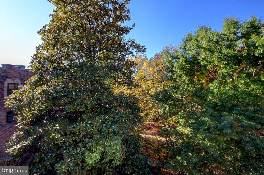 3000 TILDEN STREET NW Unit: 501-I