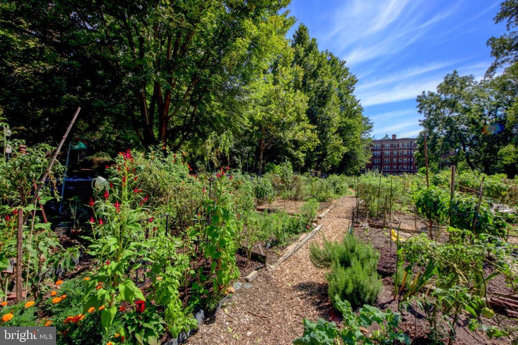 3020 TILDEN STREET NW Unit: 104