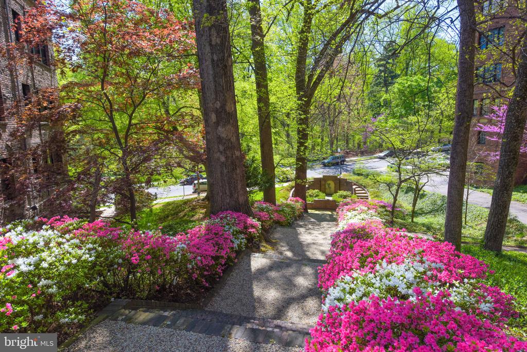 3930 CONNECTICUT AVENUE NW Unit: 205-H