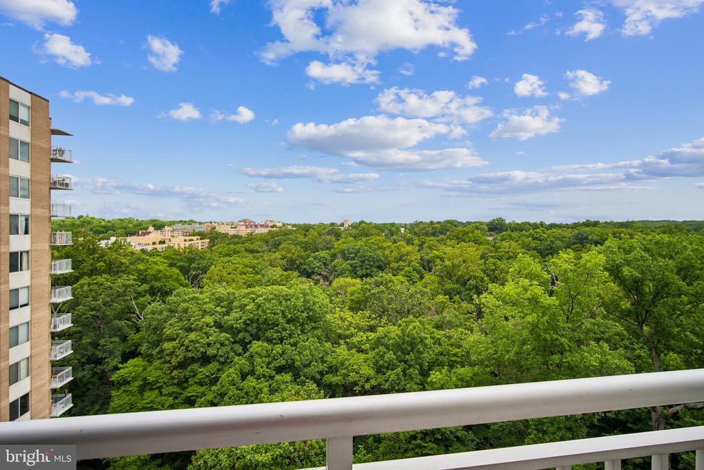 3001 VEAZEY TERRACE NW Unit: 1317