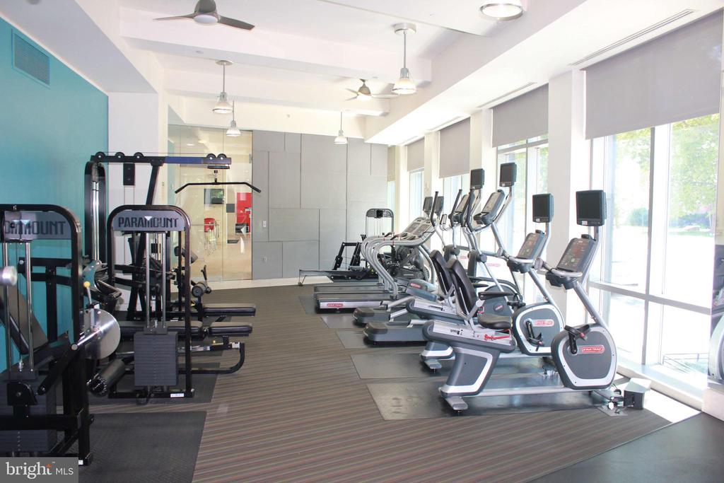 4101 ALBEMARLE STREET NW Unit: 441