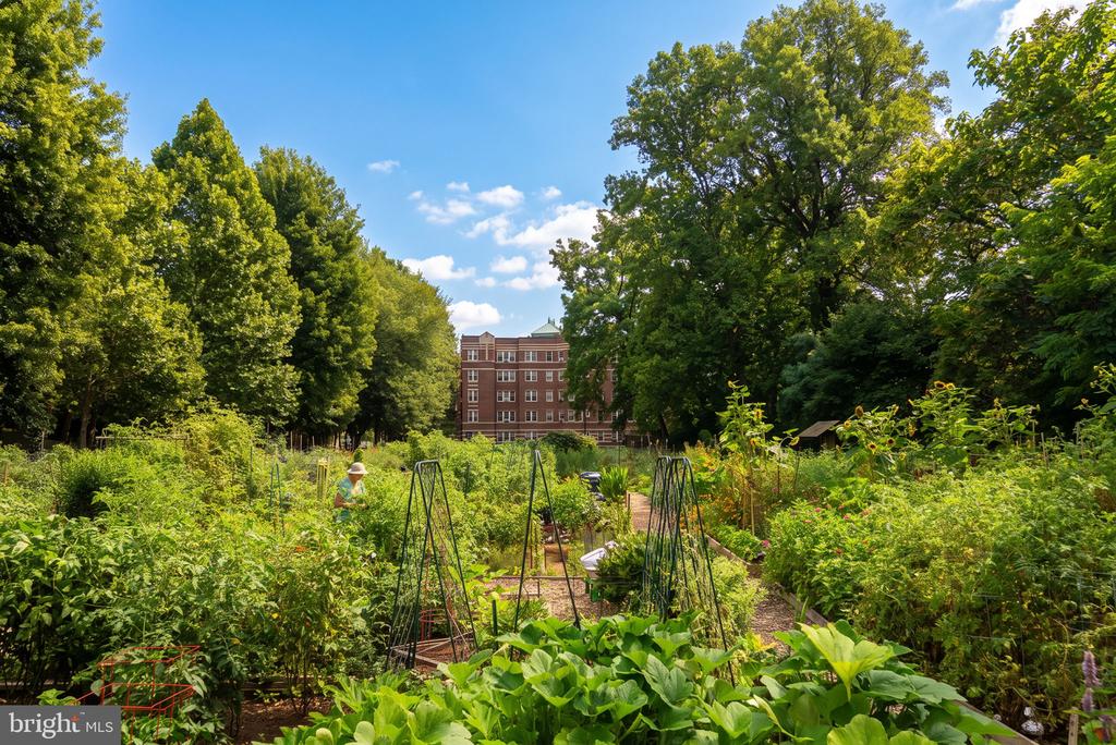 3041 SEDGWICK STREET NW Unit: 201-D